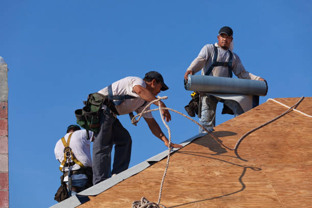 Best Storm Damage Roof Repair  in Exmore, VA