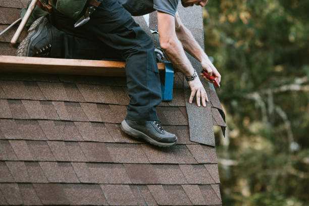 Best Roof Gutter Cleaning  in Exmore, VA
